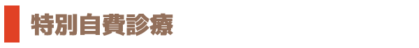 特別自費診療