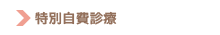 特別自費診療